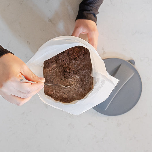 Toddy Home Cold Brew System